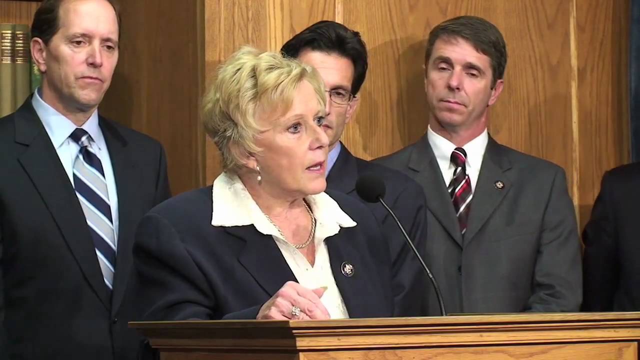 Rep. Ginny Brown-Waite (R-FL) Addresses GOP Plan at Press Conference