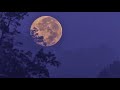 watching the moonrise - a playlist