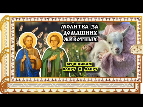 СИЛЬНЕЙШАЯ МОЛИТВА О ЖИВОТНЫХ МУЧЕНИКАМ ФЛОРУ И ЛАВРУ.