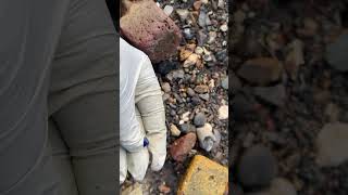 Thames Find