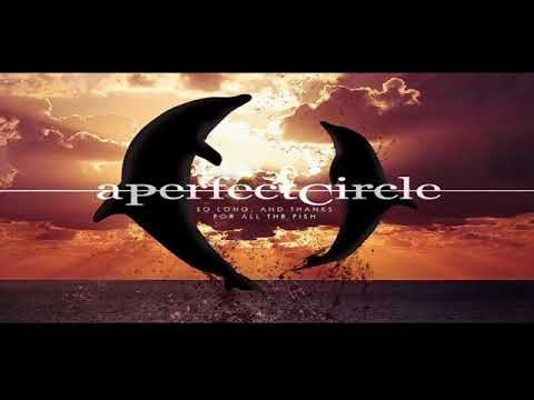 A Perfect Circle So Long And Thanks For All The Fish Vocal Cover Youtube
