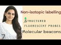 Part-VII: Molecular beacons(Structured fluorescent probes)  – Non-Isotopic Labeling of Nucleic Acids