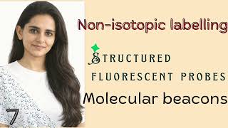 Part-VII: Molecular beacons(Structured fluorescent probes)  – Non-Isotopic Labeling of Nucleic Acids