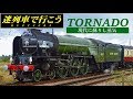 【迷列車で行こう】『トルネード』2008年生まれのSL　- 現代に蘇りし蒸気 -