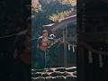 さいなら/眞名子新  #眞名子新 #fieldrecordings #ギター #弾き語り #神社 #春