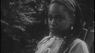 Compensation Trailer #3 (Zeinabu irene Davis, 1999)