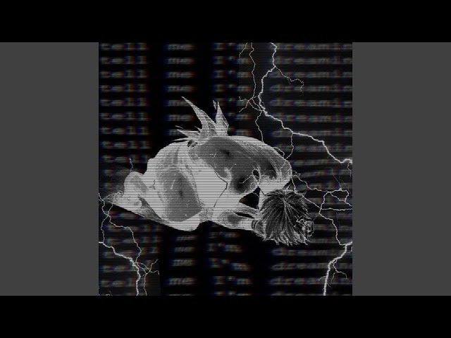 ✩♡✩ zxc 2 - YouTube