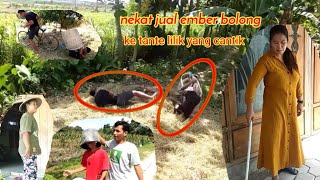 Nekat Jual Ember Bolong Ke Tante Lilik Yg Cantik