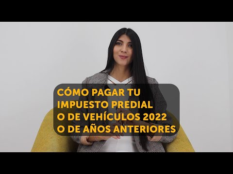 Video: Etapas de desarrollo del equipo: proceso, composición, miembros del equipo y estilo de liderazgo