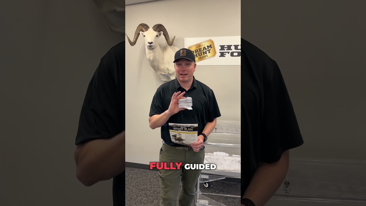 Here are this week's entries for the Grand Slam! 🐏