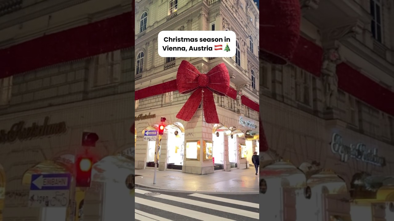 Winter in Vienna, Austria🇦🇹