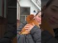 CHICKEN VLOG: Coop Chores and Deep Litter Method #backyardchickens #chickencoop