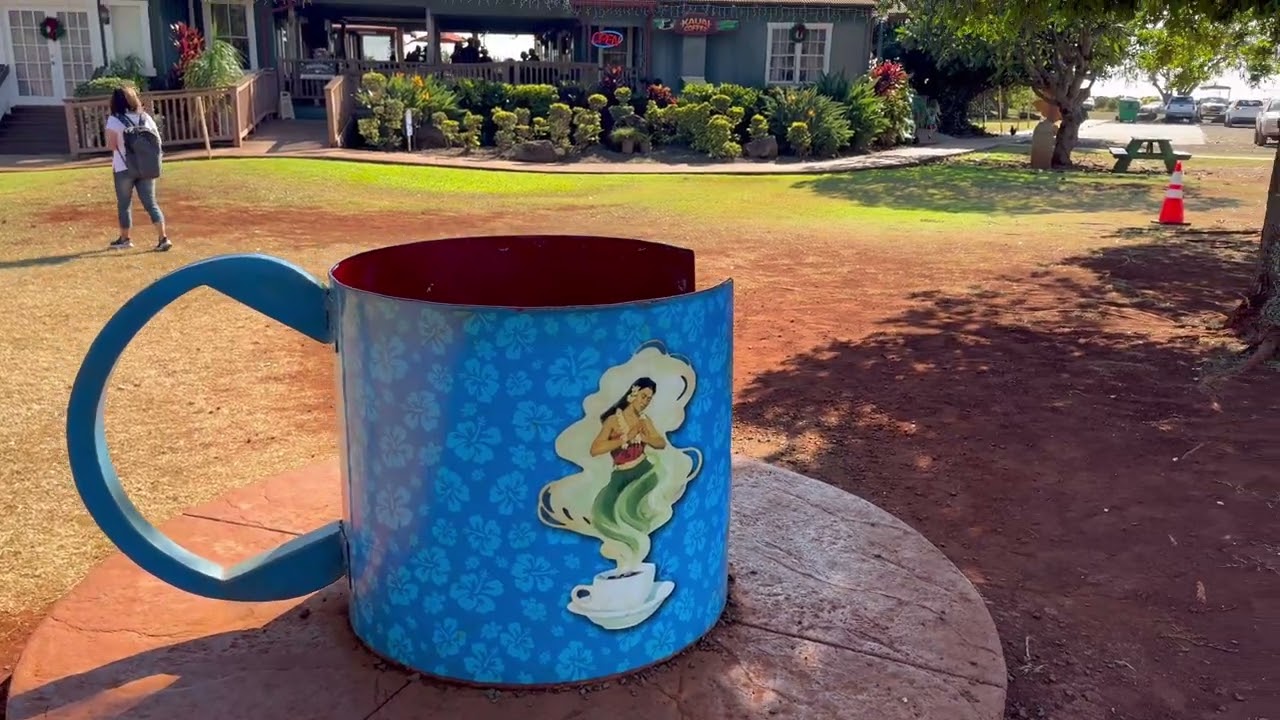 30泊32日 ハワイ　12月2日　オワフ島から一泊でカウアイ島へ