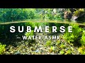 4K Immersive Water ASMR - Beautiful Freshwater Creek and Calming Water Sounds