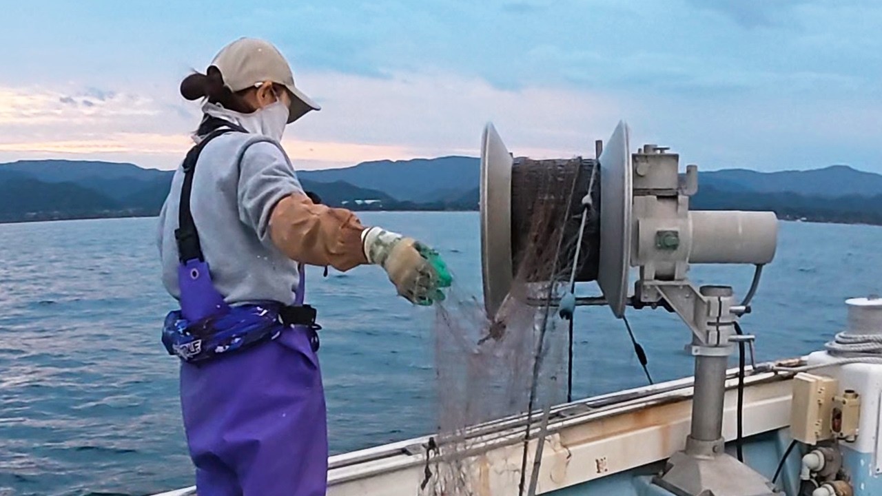 おかんに内緒のカワハギ漁！怒られ回避なるか！