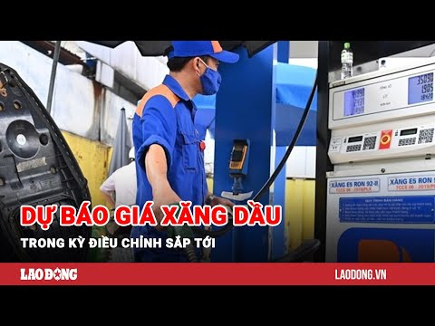 Video: Khi giá dầu tăng: dự báo