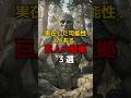 実在した可能性がある巨人の証拠3選#都市伝説 #雑学