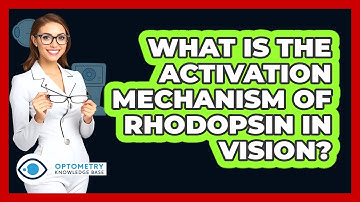 What Is The Activation Mechanism Of Rhodopsin In Vision? - Optometry Knowledge Base