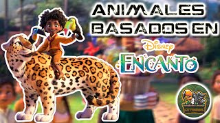 Encanto: The animals that appear in Encanto