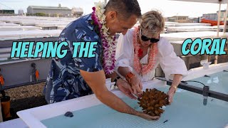 NEW Coral Rehabilitation Center on the Big Island