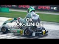 FIA Karting World Championship 2025 Junior & OK, Kristianstad / Sweden (Sunday)