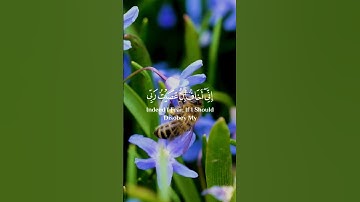 إني أخاف ان عصيت ربي | سورة الزمر (١٣) | عبدالرحمن مسعد | تصاميم أيات القرآن الكريم 🤍✨