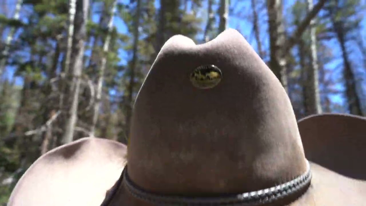 From Saddle to Saw | Our Fishlake Utah Trip (Horseback + Woods + Café Rustic Life in Fishlake Utah 🌲