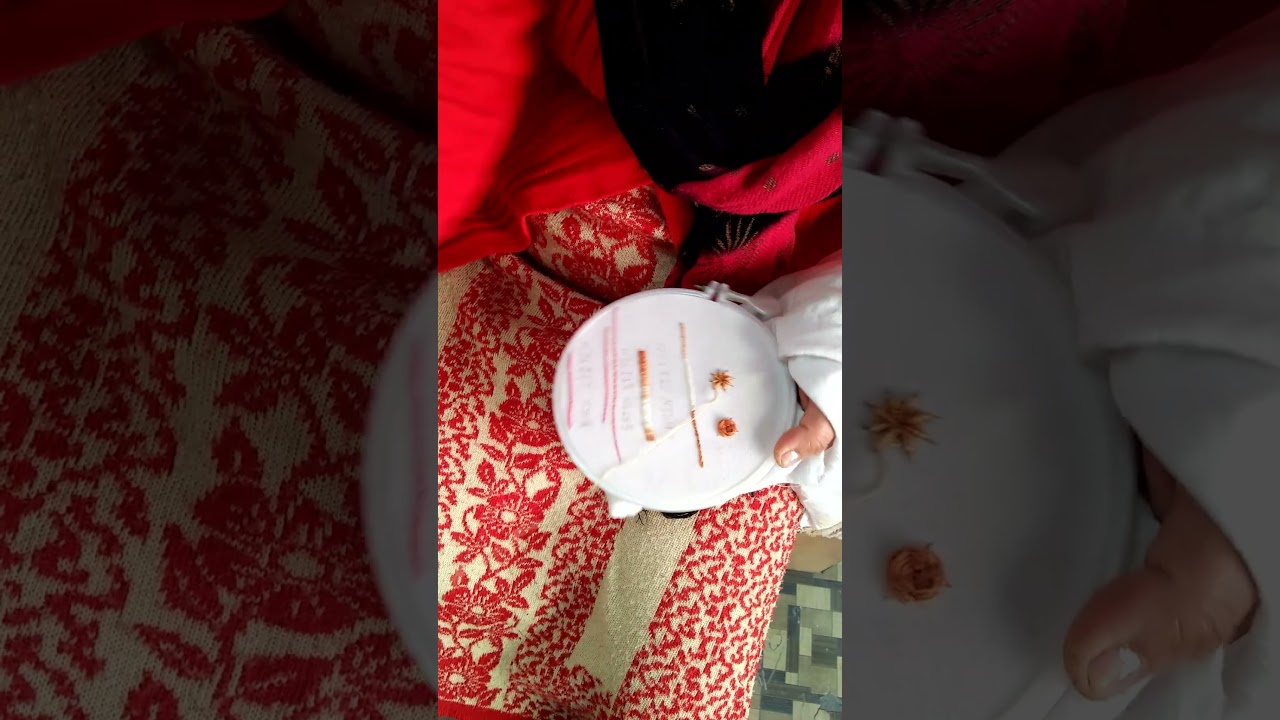 Hand embroidery progress 