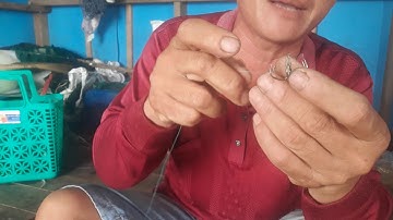 Hướng dẫn  cách tóm RƯỜNG tỏi số 6 /7  câu cá dìa bằng rong rất là nhanh và hiệu quả :