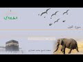 سورة الفيل الشيخ محمد محمود الطبلاوي 