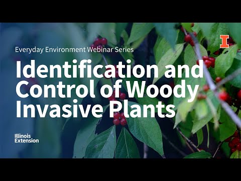 วีดีโอ: Invasive Plant Guide - ข้อมูลเกี่ยวกับการเติบโตของพืชรุกราน