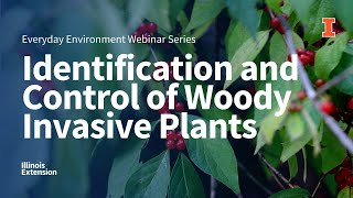 Identification and Control of Woody Invasive Plants