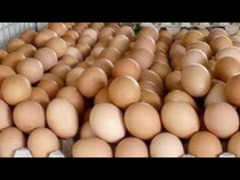 Татар сұлу қыздарының жыныстық қатынасқа түсуін көріңіз