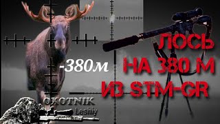 Лось добыт на 380м из карабина STM GR 6,5 Grendel!