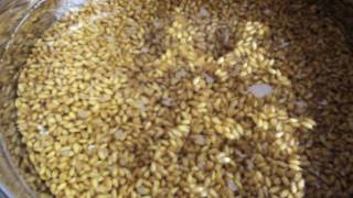 Sprouting Wheat Berries - Lost My Head Episode Sprouting Wheat Berries - Lost My Head Episode