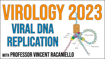 Virology Lectures 2023 #8: Viral DNA Replication