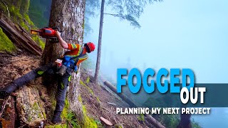 80. Foggy Day | Bucking Card Specs