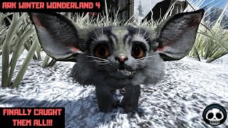 Showcasing All 54 Chibi Pets! Ark Winter Wonderland 4 - YouTube