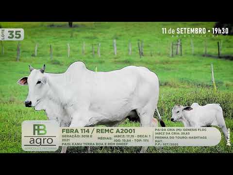 LOTE 35   REMC A2001  FBRA 114