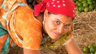 Orange Market, Kalamna, Nagpur