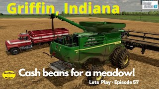 Cash beans for a meadow! Ep 57