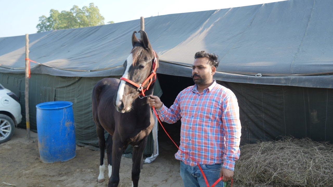 Part 06 Janamjeet Singh Faridkot Hargobind Nagar Con-81462-39711