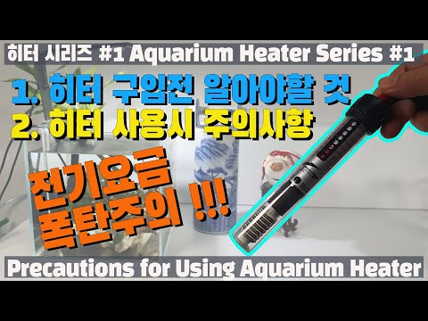 (왕초보 입문자용) 히터시리즈 #1 히터구입전 알아야할것, 히터사용시 주의사항 | Aquarium heater series #1 | 구피키우기|베타키우기|수조히터|어항히터