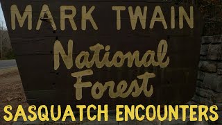 BIGFOOT STORIES FROM 'THE MARK TWAIN NATIONAL FOREST'