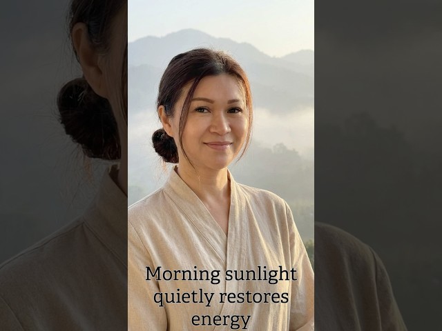 Morning sunlight quietly restores energy