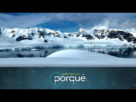 Vídeo: Antártida: ¿extraterrestres, Bases Ovni, Bases Nazis O ángeles Caídos? - Vista Alternativa