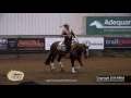 Electric cha ching ridden by michelle miola   2016 nrha futurity non pro