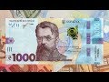 10 цікавих фактів про банкноту  1000 гривень
