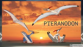 Lets Learn how to build Pteranodon