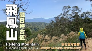 台灣小百岳~飛鳳山(中坑山)、觀日坪古道（新竹縣芎林鄉）(Mt. Feifeng)